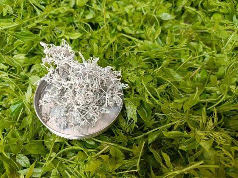 藤茶逆袭之路:从深山药材到健康产业新星 新华社发重磅长文:来凤藤茶如何花30年时间“出山”又出圈