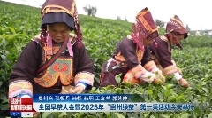 春茶生产管理要点:应对倒春寒与提质增产技巧 春茶生产关键期,掌握这些提质增产小妙招