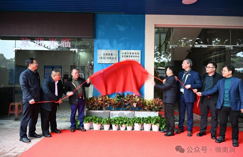 云南白茶研究院东莞藏茶研究中心 推动产业升级与区域合作 云南白茶研究院东莞藏茶研究中心揭牌 南涧开启跨区域合作新篇章
