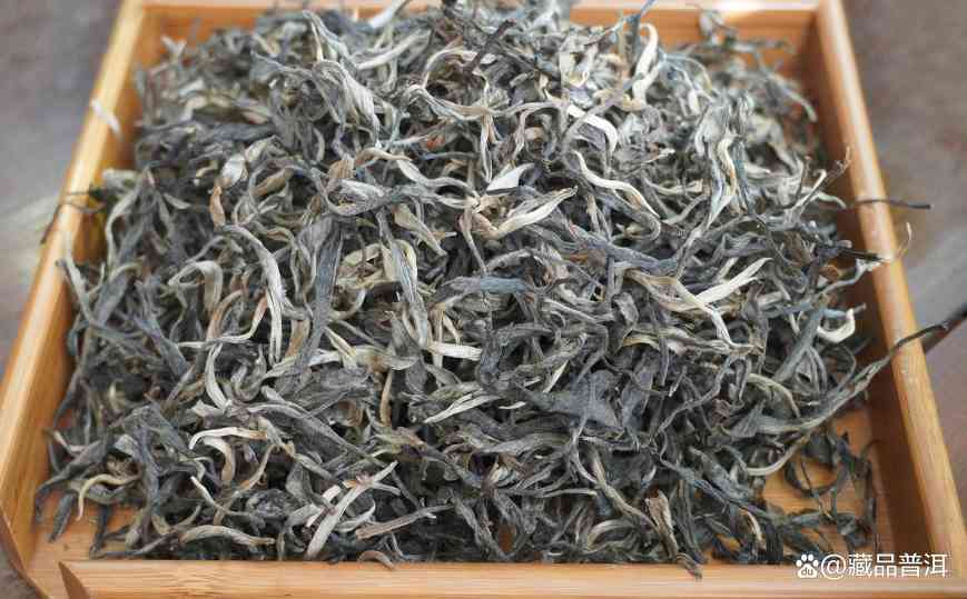 普洱茶紧压成型优劣势解析：散茶与饼茶如何选择