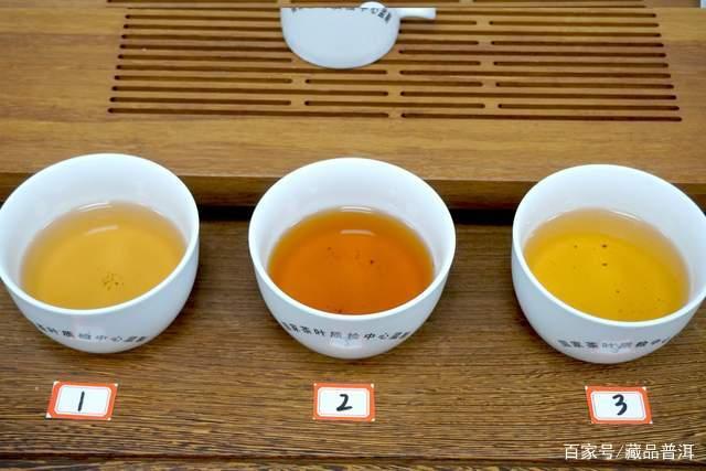普洱茶新手避坑指南：精准判断与中期茶收藏技巧
