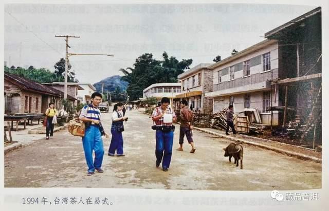 96真淳雅号：易武茶复兴里程碑