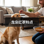 龙泉红茶特点解析：口感香气汤色尽显独特风味