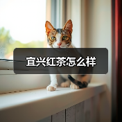 宜兴红茶怎么样(图2) 宜兴红茶怎么样(图2)