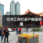坦洋工夫红茶产地是哪里(图3) 坦洋工夫红茶产地是哪里(图3)