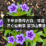 千年茶香传古韵，非遗匠心启新章 蒙顶山黄芽坊非遗黄芽品鉴会暨张强大师收徒仪式圆满举办（图1）