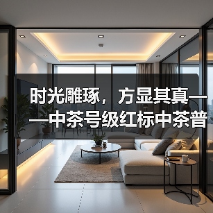 时光雕琢,方显其真——中茶号级红标中茶普洱茶(图3) 时光雕琢,方显其真——中茶号级红标中茶普洱茶(图3)