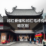 祁红香螺和祁红毛峰有啥区别(图2) 祁红香螺和祁红毛峰有啥区别(图2)