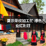 夏茶采收加工忙 绿色产业红利旺（图4）