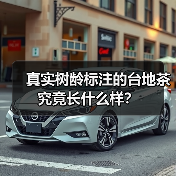 真实树龄标注的台地茶究竟长什么样？（图1）