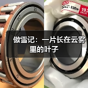傲雪记：一片长在云雾里的叶子（图1）