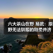 六大茶山在野 易武：原野无法驯服的刚柔并济（图1）