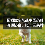杨祖斌率队赴中国茶叶流通协会、张一元茶叶有限责任公司、小罐茶业有限公司开展招商考察（图4）