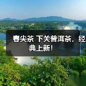 春尖茶 下关普洱茶，经典上新！（图3）