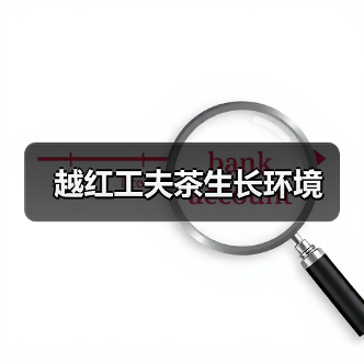 越红工夫茶生长环境（图4）