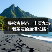 曼松古树茶,十买九坑!老茶友的血泪总结:避坑就认这几点(图4) 曼松古树茶,十买九坑!老茶友的血泪总结:避坑就认这几点(图4)