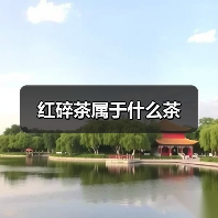 红碎茶分类解析:红茶品种与国际大宗茶对比 红碎茶分类解析:红茶品种与国际大宗茶对比