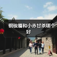 铜骏眉与小赤甘茶口感差异对比分析 铜骏眉与小赤甘茶口感差异对比分析
