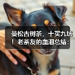 曼松古树茶,十买九坑!老茶友的血泪总结:避坑就认这几点(图3) 曼松古树茶,十买九坑!老茶友的血泪总结:避坑就认这几点(图3)