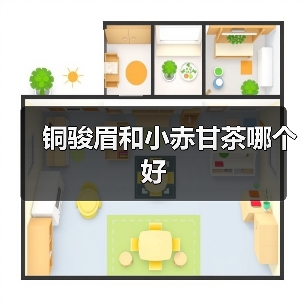 铜骏眉和小赤甘茶哪个好(图4) 铜骏眉和小赤甘茶哪个好(图4)