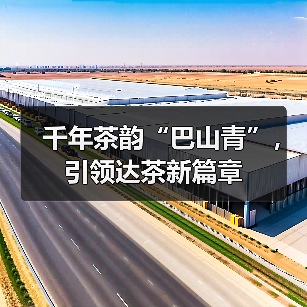 千年茶韵“巴山青”，引领达茶新篇章（图2）