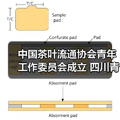 中国茶叶流通协会青年工作委员会成立 四川青年茶人张忆萍当选首届副秘书长（图1）