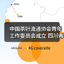 中国茶叶流通协会青年工作委员会成立 四川青年茶人张忆萍当选首届副秘书长（图4）