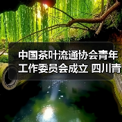 中国茶叶流通协会青年工作委员会成立 四川青年茶人张忆萍当选首届副秘书长（图3）