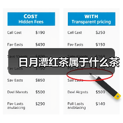 日月潭红茶属于什么茶(图3) 日月潭红茶属于什么茶(图3)