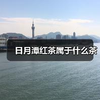 日月潭红茶属于什么茶(图2) 日月潭红茶属于什么茶(图2)