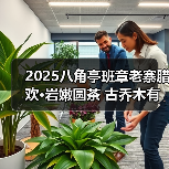 2025八角亭班章老寨腊欢·岩嫩圆茶 古乔木有机双绝，藏饮皆宜（图1）