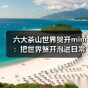 六大茶山世界贺开mini：把世界贺开泡进日常茶桌（图2）