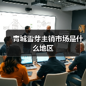 青城雪芽主销市场是什么地区