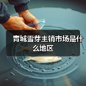 青城雪芽主销市场是什么地区(图2) 青城雪芽主销市场是什么地区(图2)