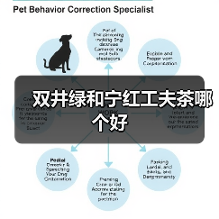 双井绿和宁红工夫茶哪个好（图2）