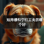双井绿和宁红工夫茶哪个好（图4）