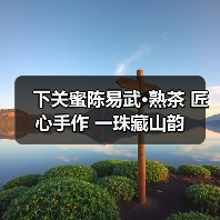 下关蜜陈易武·熟茶 匠心手作 一珠藏山韵（图3）