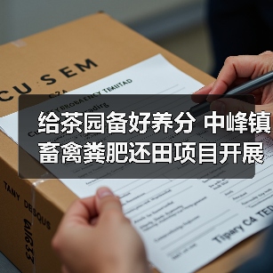 给茶园备好养分 中峰镇畜禽粪肥还田项目开展(图2) 给茶园备好养分 中峰镇畜禽粪肥还田项目开展(图2)