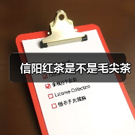 信阳红茶是不是毛尖茶