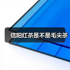 信阳红茶是不是毛尖茶（图3）