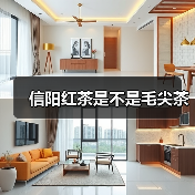 信阳红茶是不是毛尖茶（图4）