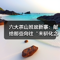 六大茶山班盆新寨:献给那些向往“未驯化之美”的茶中侠客(图1) 六大茶山班盆新寨:献给那些向往“未驯化之美”的茶中侠客(图1)