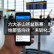 六大茶山班盆新寨:献给那些向往“未驯化之美”的茶中侠客(图2) 六大茶山班盆新寨:献给那些向往“未驯化之美”的茶中侠客(图2)