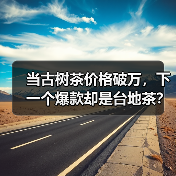 当古树茶价格破万，下一个爆款却是台地茶？（图1）