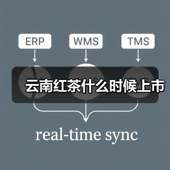 云南红茶什么时候上市（图4）