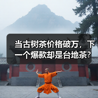 当古树茶价格破万，下一个爆款却是台地茶？（图3）