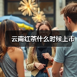 云南红茶什么时候上市