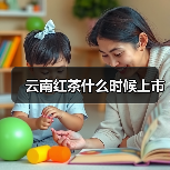云南红茶什么时候上市（图3）