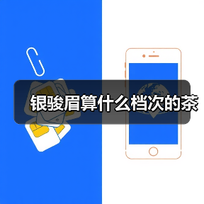 银骏眉算什么档次的茶(图2) 银骏眉算什么档次的茶(图2)