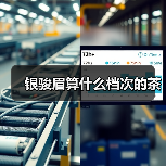 银骏眉算什么档次的茶(图3) 银骏眉算什么档次的茶(图3)